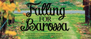 Falling for Barossa - 3Sixty cover