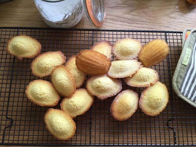 Casa Carboni – Madeleines